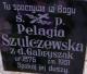 Cmentarz_Wojcin_Pelagia Szulczewski Gabryszak.jpg